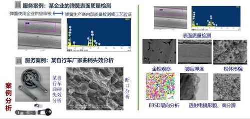 捷报丨清丞孵化器通过南科创实训基地 创业实训室 评审